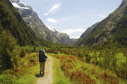 milford-track.jpg