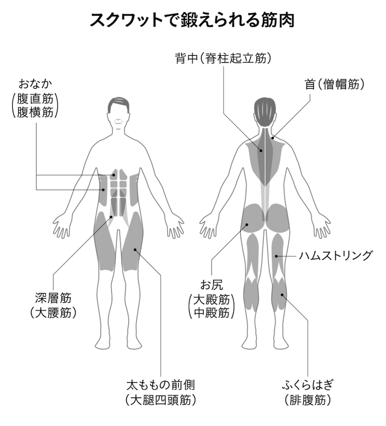 スクリーンショット 2024-05-27 11.38.54.png